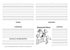 Pferd-Faltbuch-vierseitig-5.pdf